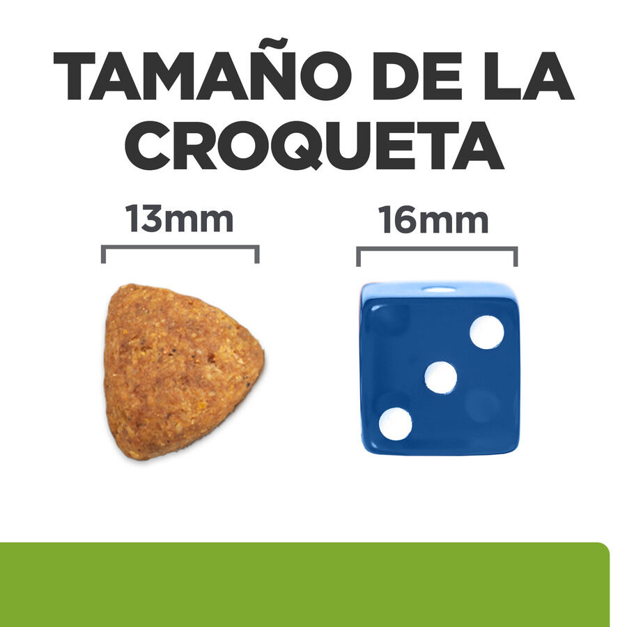 12 kg Hill's Prescription Diet j/d Metabolic + Mobility pienso para perros, , large Imagen numero 8